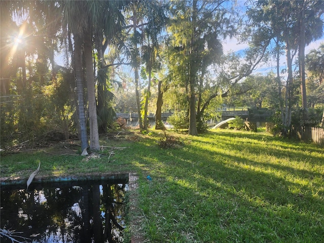 view of yard with a water view