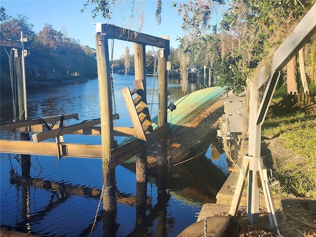 dock area with a water view