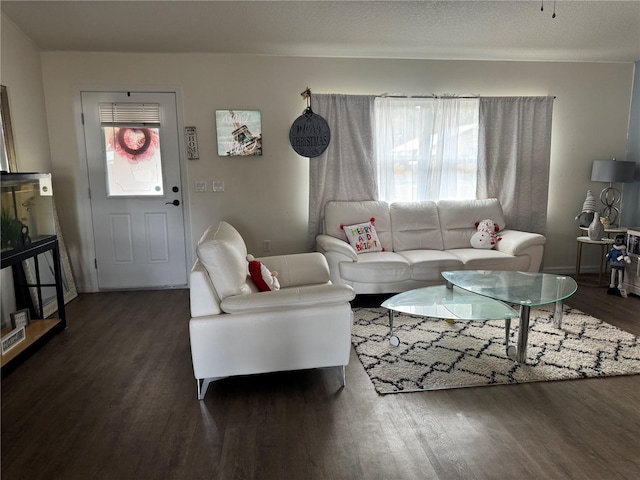 living room with dark hardwood / wood-style floors