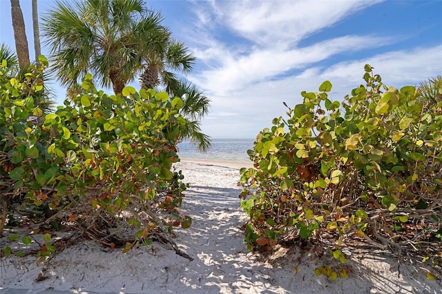 property view of water with a beach view