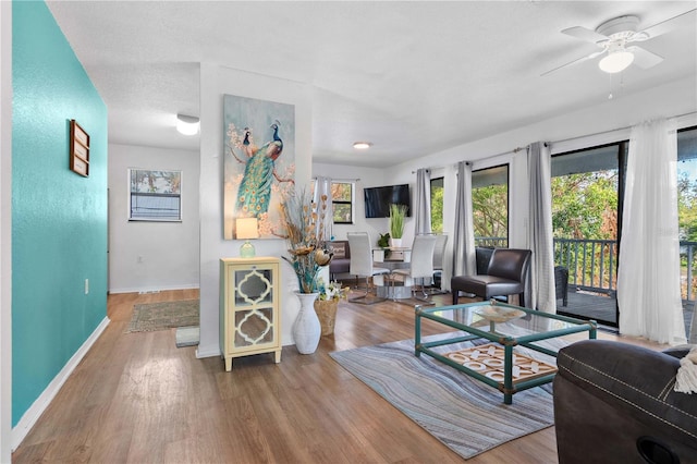 1244 31st Ave E, Bradenton, FL 34208 - living area featuring a ceiling fan and wood finished floors