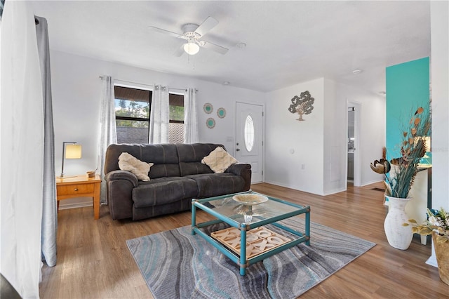 living room featuring ceiling fan and light hardwood / wood-style flooring