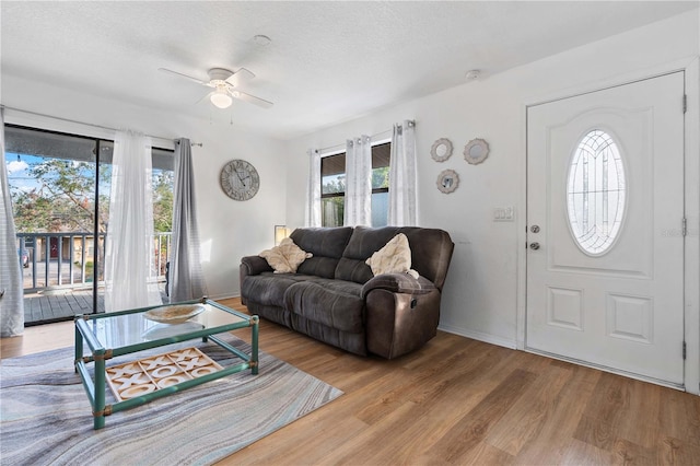 1244 31st Ave E, Bradenton, FL 34208 - living area with wood finished floors, plenty of natural light, ceiling fan, and a textured ceiling