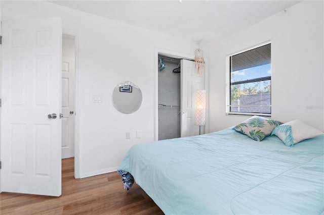 bedroom featuring a spacious closet, wood-type flooring, and a closet