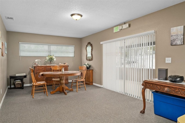 carpeted dining room featuring plenty of natural light and a textured ceiling