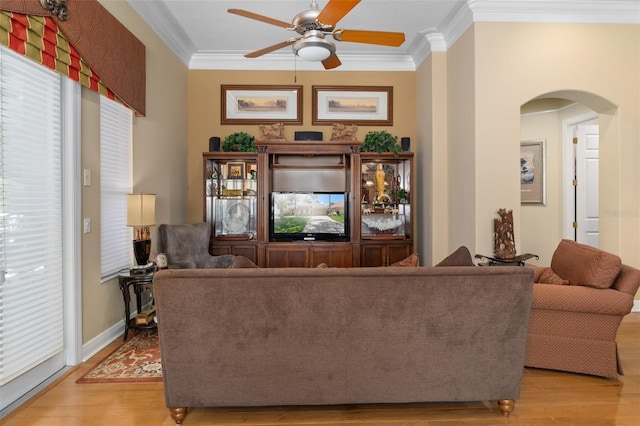 living room featuring ceiling fan, light hardwood / wood-style floors, and ornamental molding