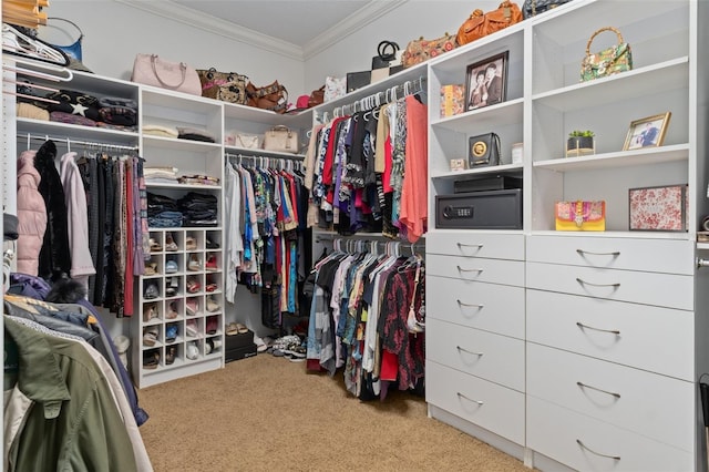 walk in closet with light carpet