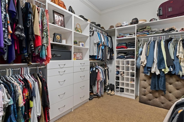 spacious closet featuring carpet floors