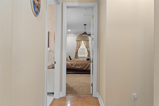 hall with light hardwood / wood-style flooring