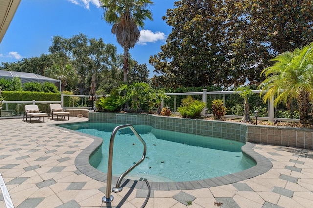 view of pool featuring a patio