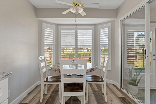 dining area with hardwood / wood-style floors and ceiling fan