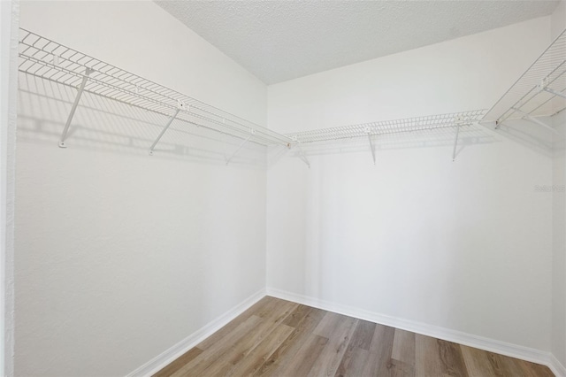 walk in closet featuring wood-type flooring