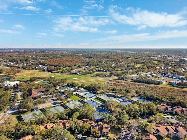 bird's eye view