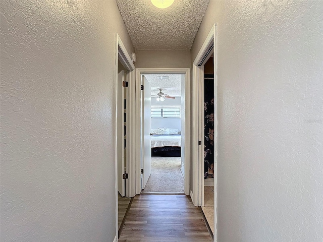 hallway with a textured ceiling and hardwood / wood-style flooring