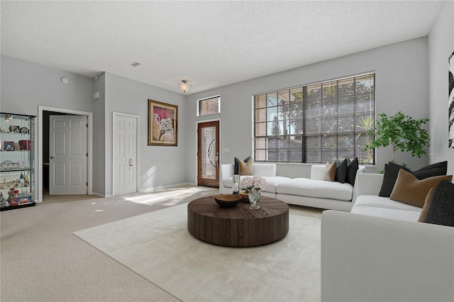 living room featuring a textured ceiling and carpet