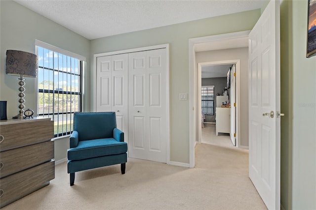 sitting room with a wealth of natural light, light colored carpet, and a textured ceiling