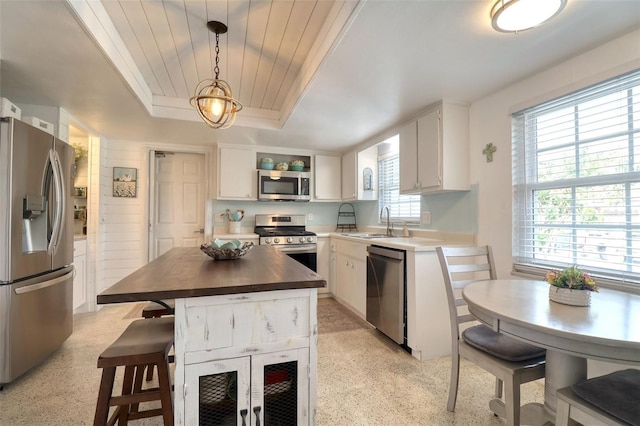 kitchen with white cabinets, a wealth of natural light, stainless steel appliances, and hanging light fixtures