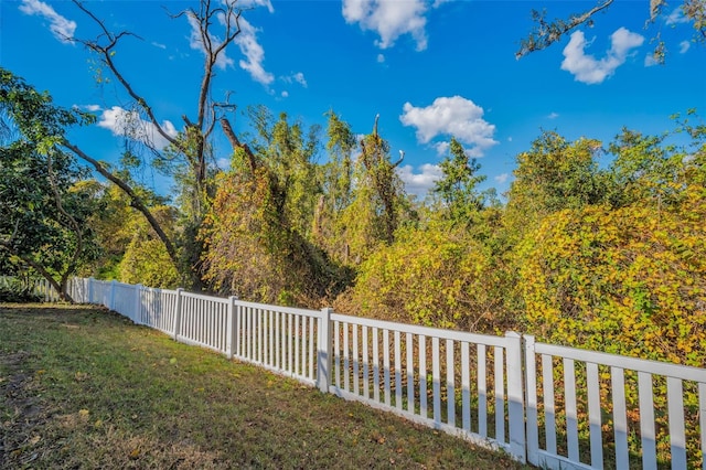 11645 Belle Haven Dr, New Port Richey, FL 34654 - view of yard