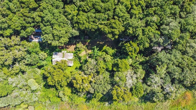 6661 E Turner Camp Rd, Inverness, FL 34453 - photo 3