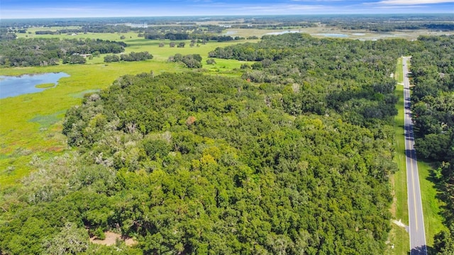 6661 E Turner Camp Rd, Inverness, FL 34453 - photo 4