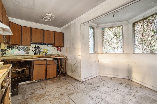 kitchen with decorative backsplash, crown molding, and sink