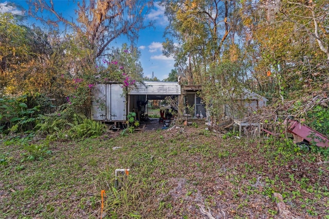 view of yard featuring a shed