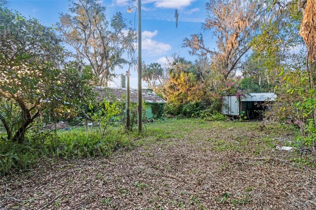 view of yard featuring a storage unit