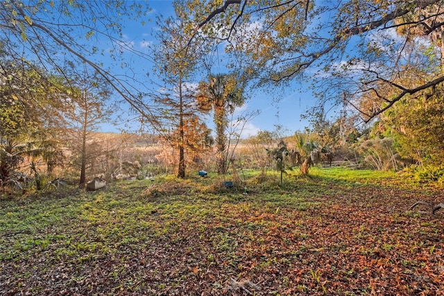 6661 E Turner Camp Rd, Inverness, FL 34453 - photo 17