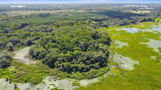 6661 E Turner Camp Rd, Inverness, FL 34453 - photo 21