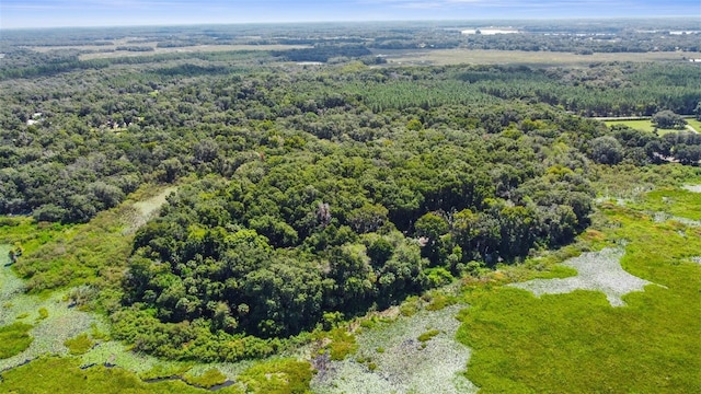 6661 E Turner Camp Rd, Inverness, FL 34453 - photo 22