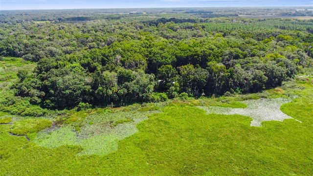 6661 E Turner Camp Rd, Inverness, FL 34453 - photo 26