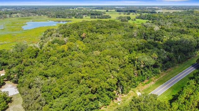 6661 E Turner Camp Rd, Inverness, FL 34453 - photo 28