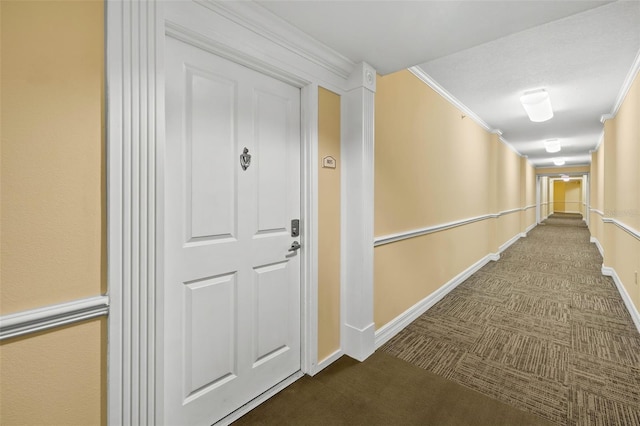 hallway with carpet flooring and crown molding