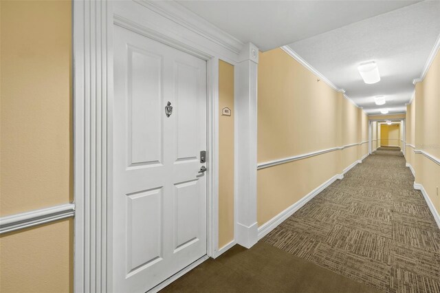 4516 Seagull Dr Unit 805, New Port Richey, FL 34652 - photo 4