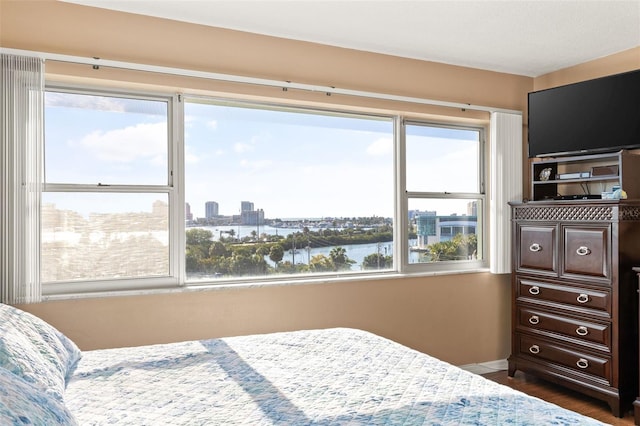 bedroom with multiple windows and dark hardwood / wood-style flooring