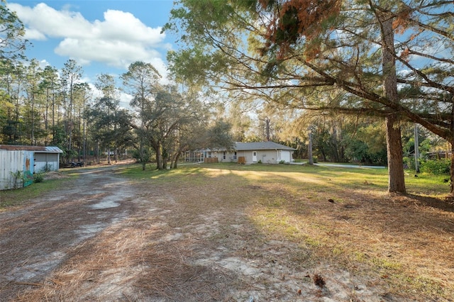 view of yard