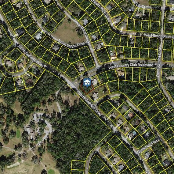 8695 N Golfview Dr, Citrus Springs, FL 34434 - photo 4