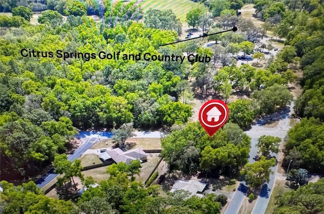 8695 N Golfview Dr, Citrus Springs, FL 34434 - photo 1