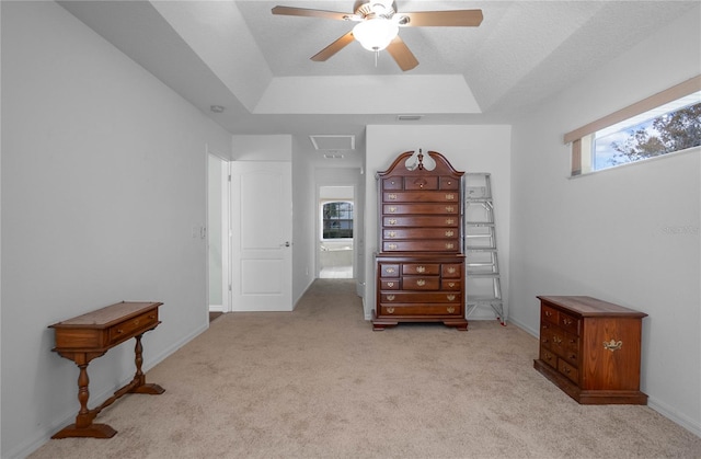 misc room with light carpet, a tray ceiling, and a wealth of natural light