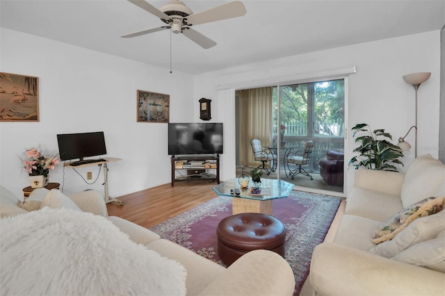 living room with ceiling fan and wood-type flooring