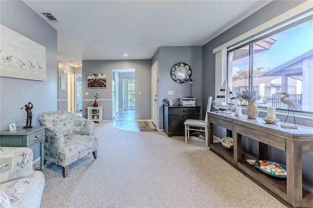 sitting room with light carpet and a healthy amount of sunlight