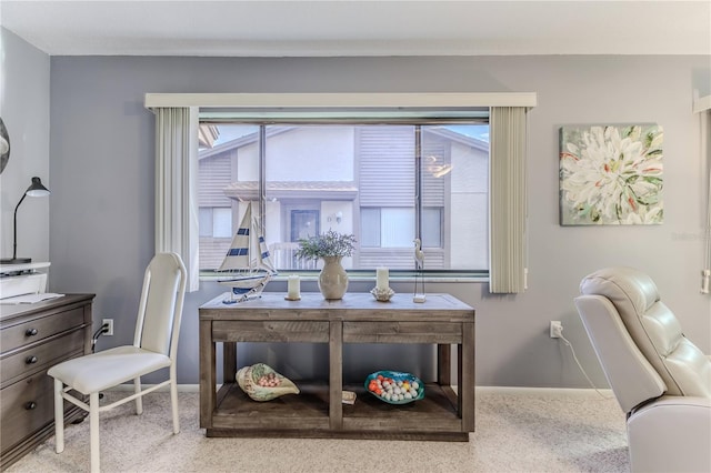 12814 Wedgewood Way Unit C, Hudson, FL 34667 - interior space with carpet flooring