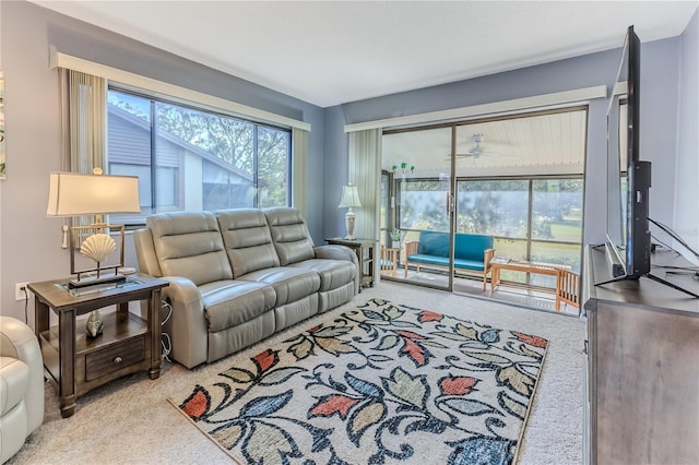 12814 Wedgewood Way Unit C, Hudson, FL 34667 - living room featuring carpet