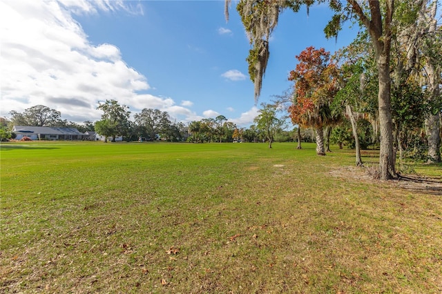 12814 Wedgewood Way Unit C, Hudson, FL 34667 - view of green lawn