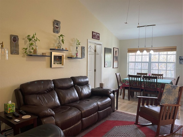 living room with hardwood / wood-style floors and vaulted ceiling