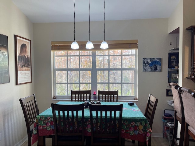 dining room featuring a healthy amount of sunlight