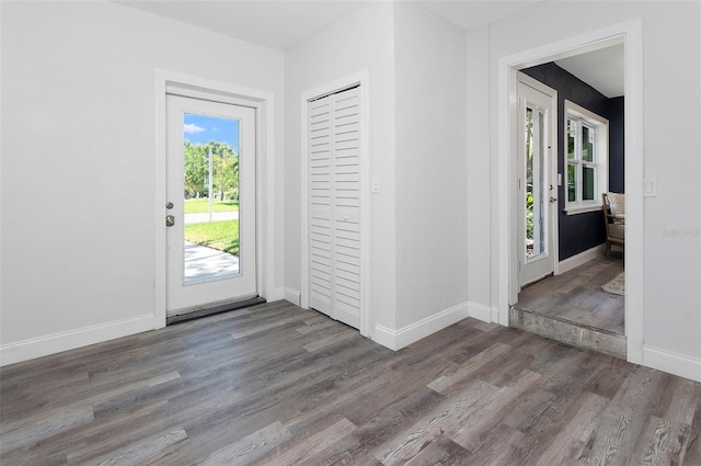 entrance foyer featuring dark wood-type flooring