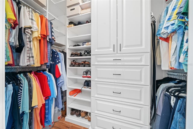 view of walk in closet