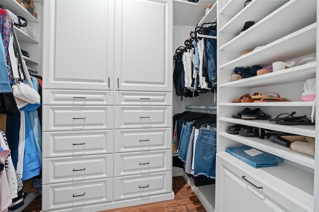 view of walk in closet