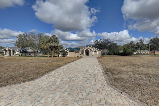 ranch-style house with a front yard